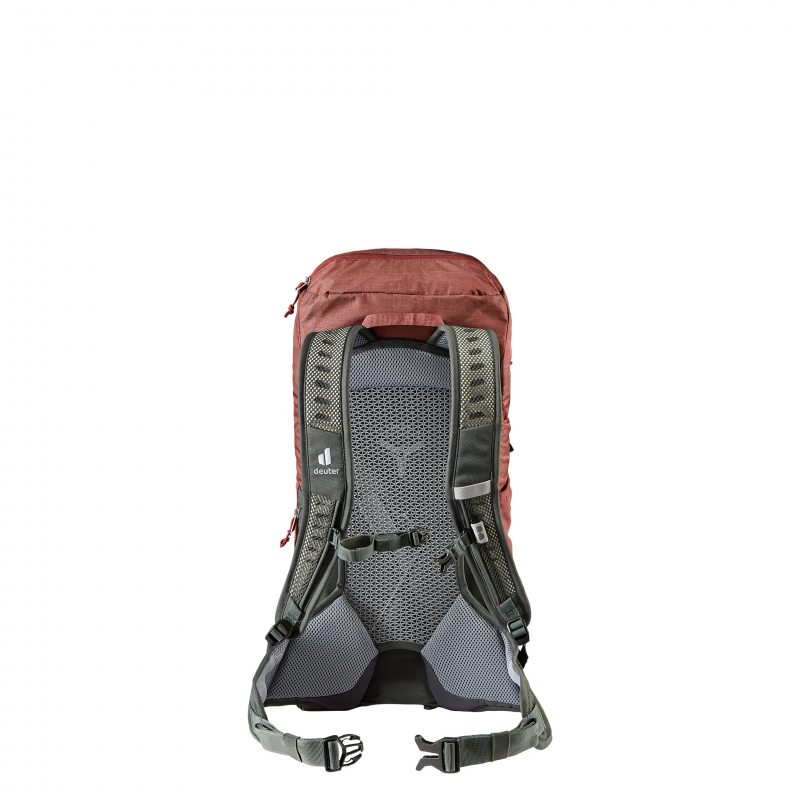 Deuter Mochila AC Lite 24 56 cm redwood-ivy